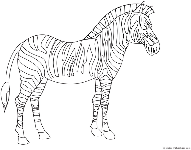 malvorlage-zebra-einzigartige-streifen-und-fakten