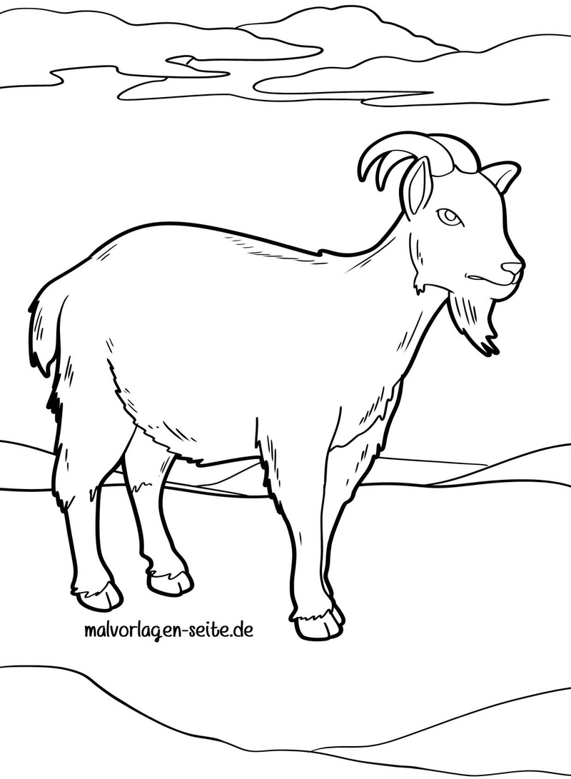 malvorlage-ziege-auf-der-weide