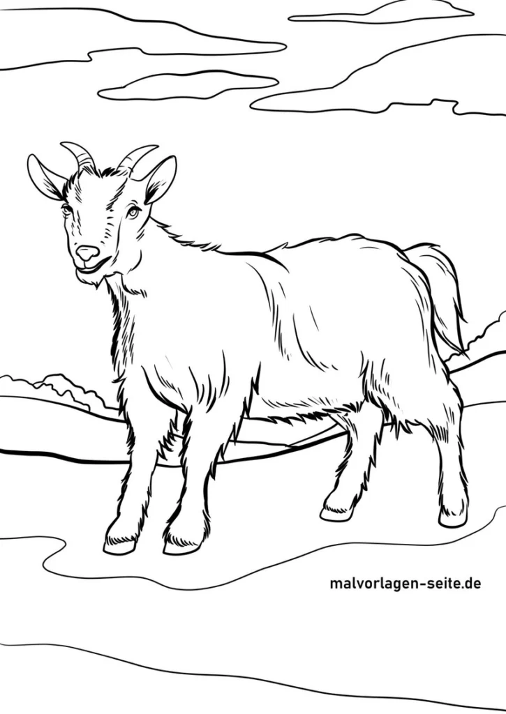 malvorlage-ziege-in-laendlicher-landschaft