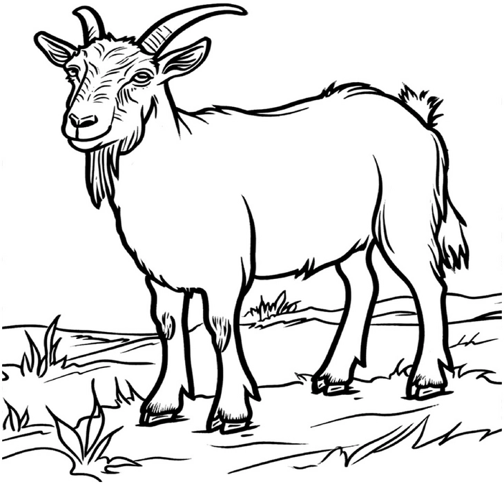 malvorlage-ziege-in-laendlicher-umgebung