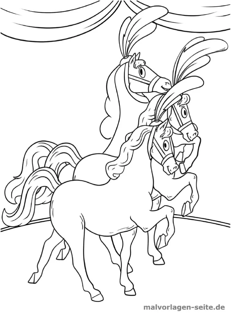 malvorlage-zirkus-pferde-ausmalen