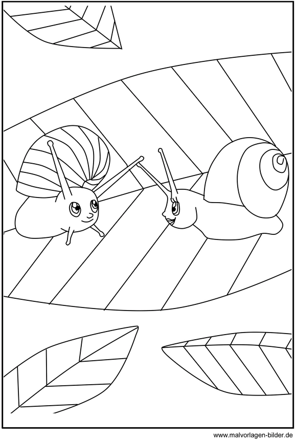 malvorlage-zwei-schnecken-auf-einem-blatt