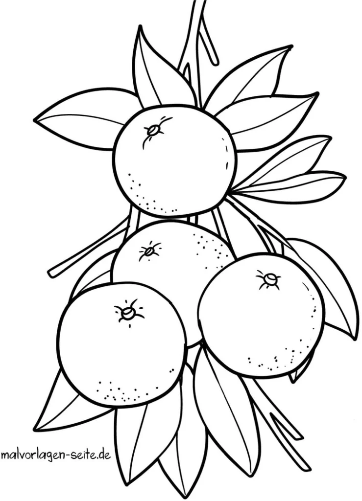mandarinen-ausmalvorlage-kreativ-gestalten