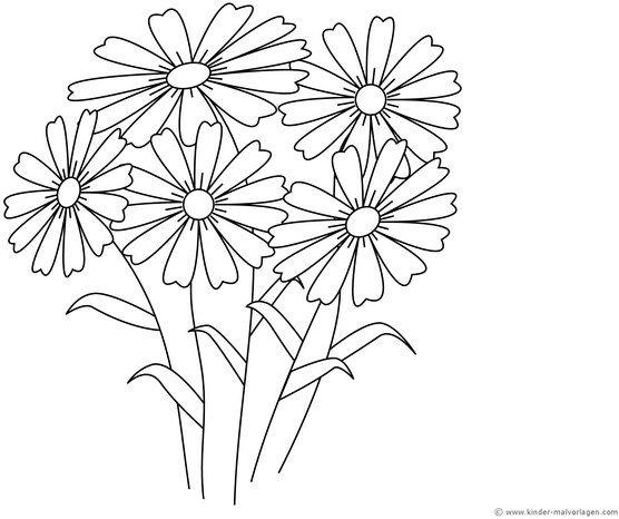 margeritenstrauss-ausmalvorlage