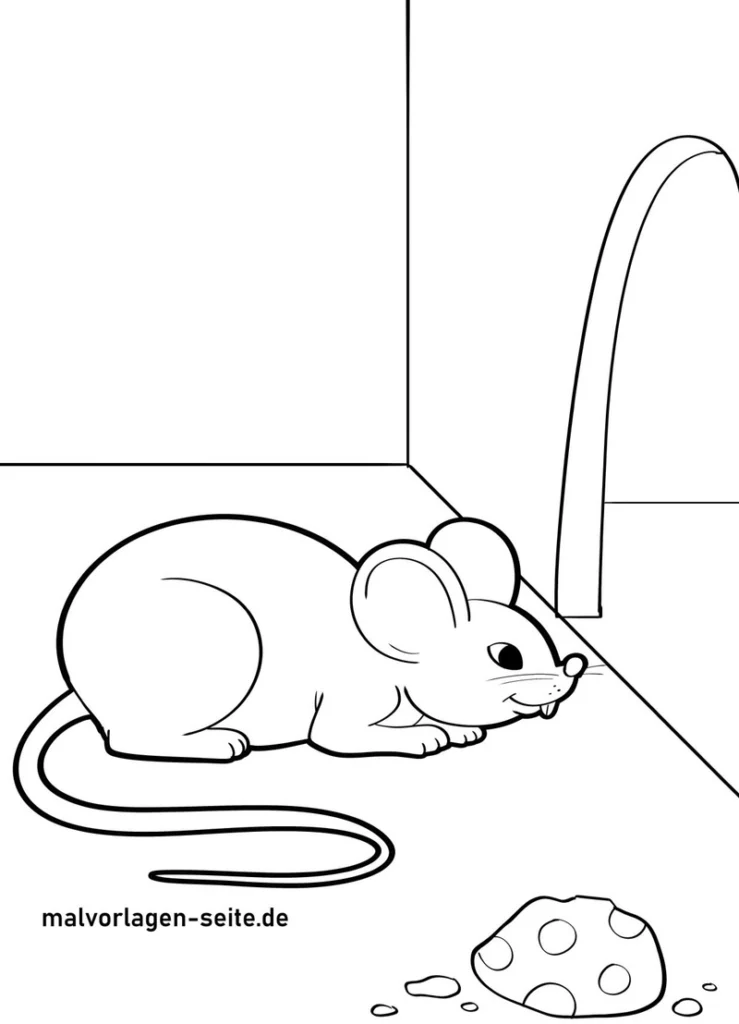 maus-im-raum-mit-kaese