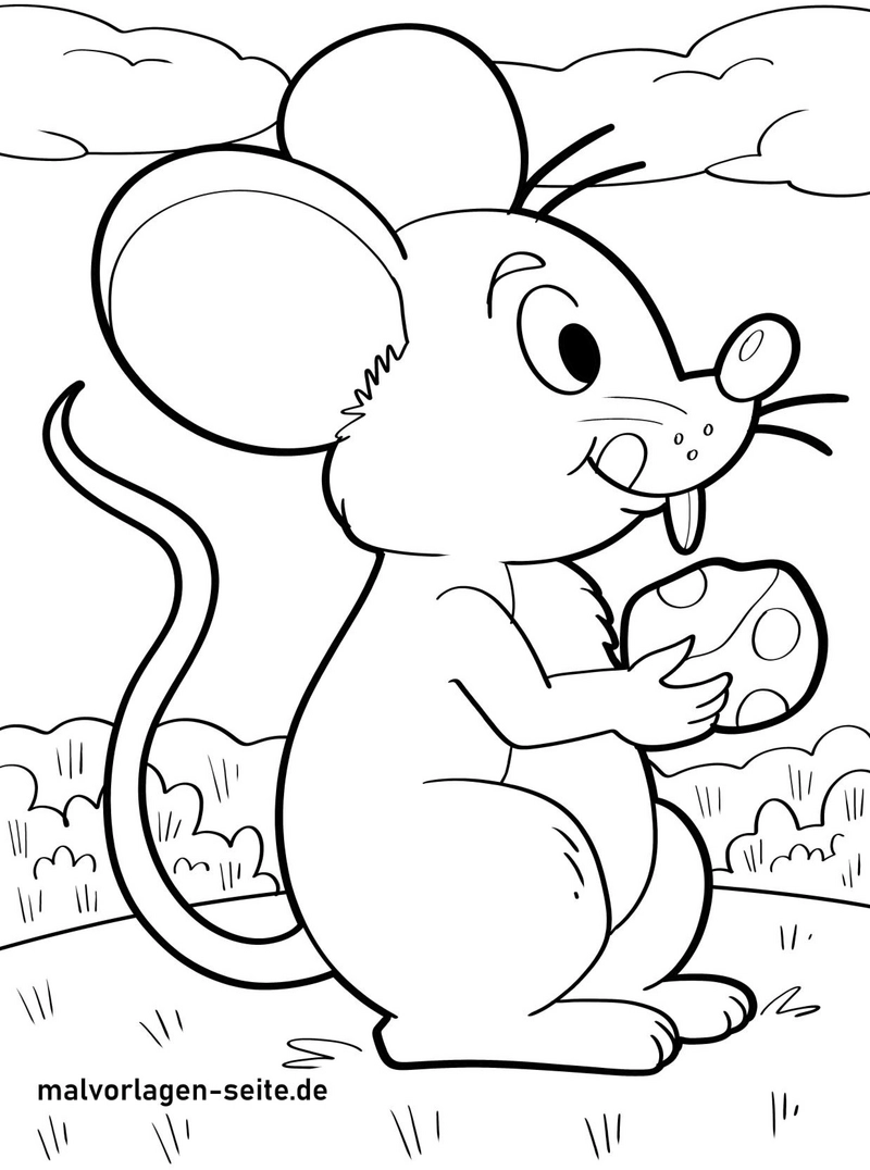maus-mit-kaese-in-freier-natur