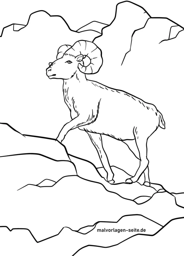 mufflon-auf-felsen-in-der-natur