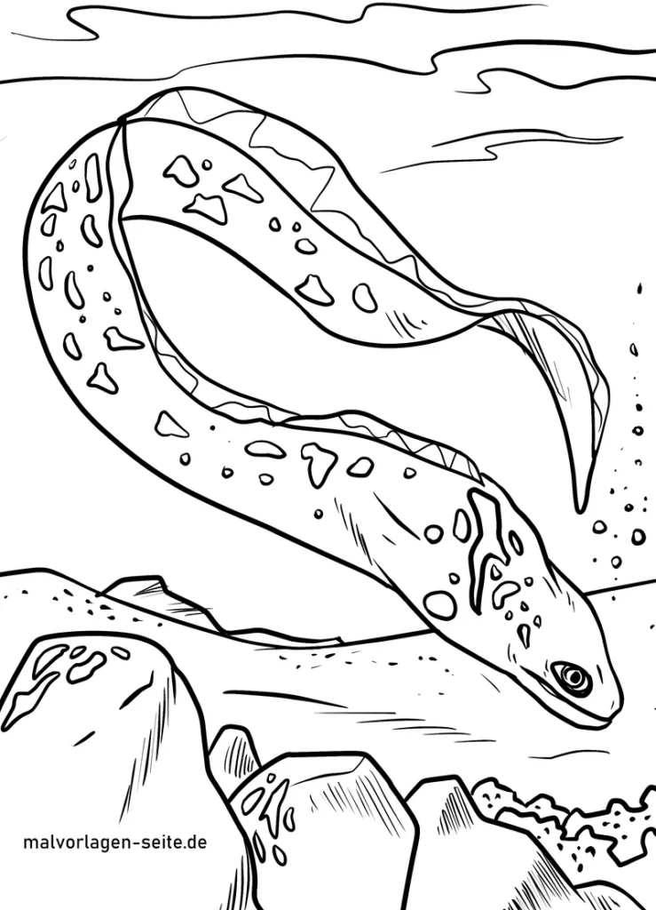 muraene-im-wasser-mit-felsen-und-wellen