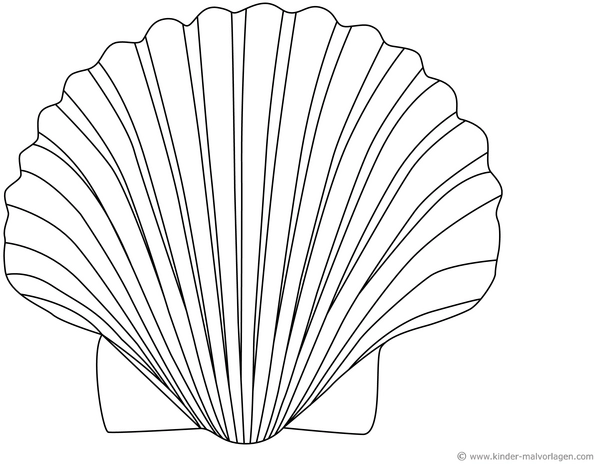 muschel-ausmalvorlage-natur-kreativ