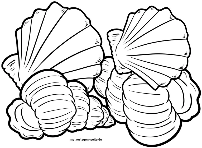 muscheln-ausmalvorlage-unterwasserwelt