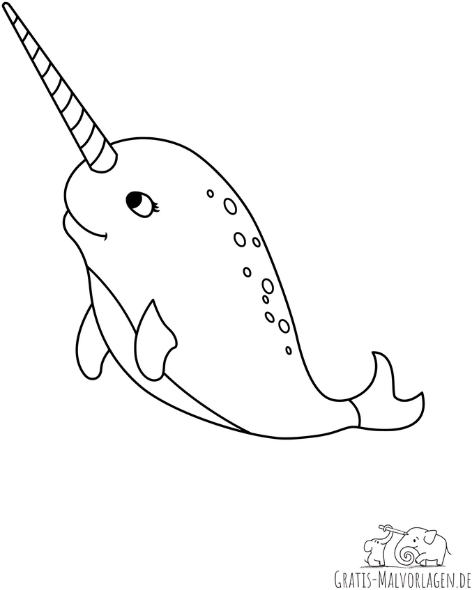 narwal-ausmalvorlage-meeresbewohner