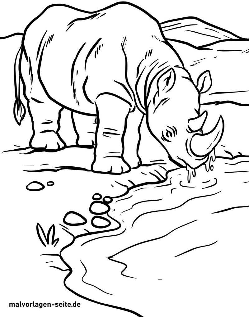nashorn-am-wasserlauf-ausmalvorlage