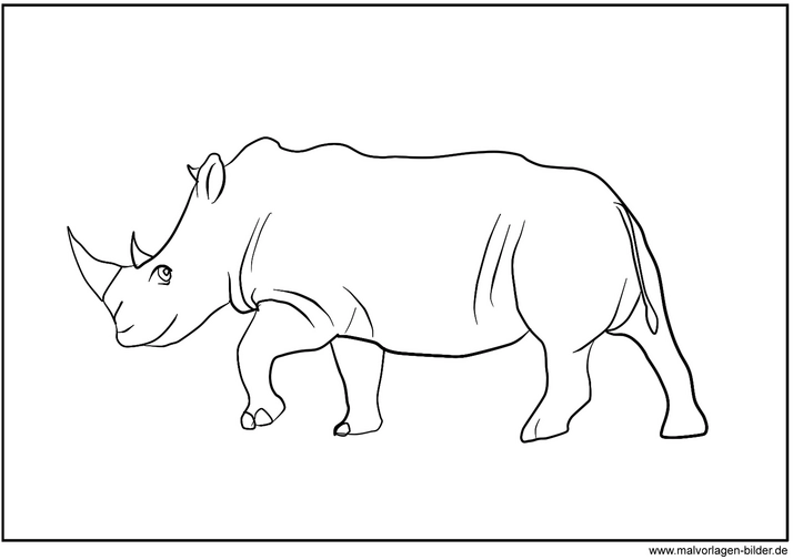 nashorn-ausmalvorlage-fuer-kinder