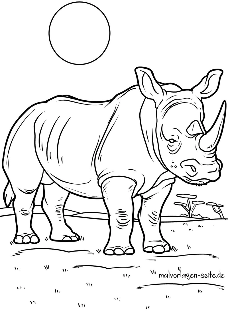 nashorn-in-der-savanne-mit-sonne