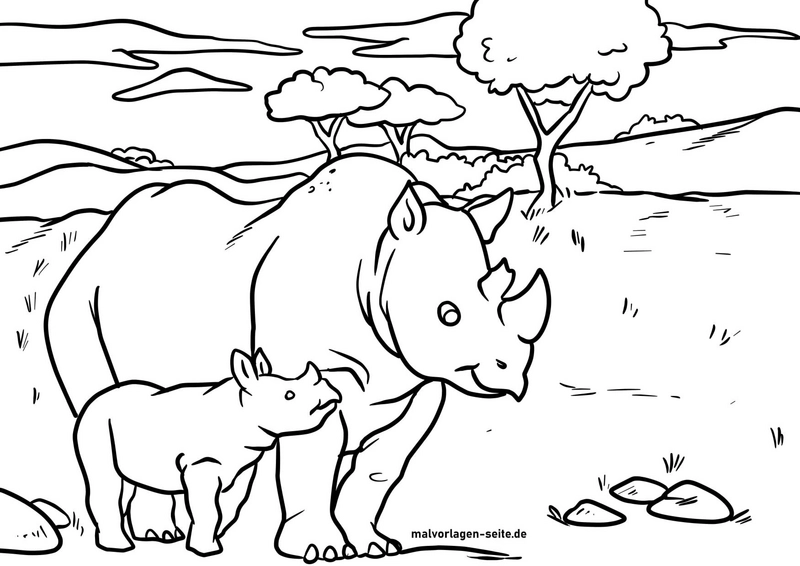 nashorn-und-nachwuchs-in-der-natur