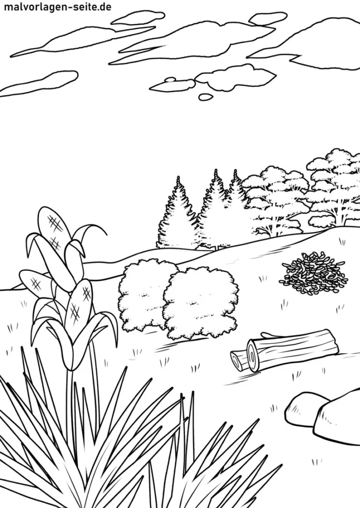 natur-landschaft-pflanzen-baeume-ausmalen