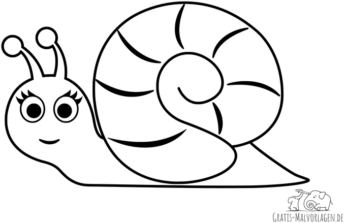 niedliche-schnecke-ausmalvorlage