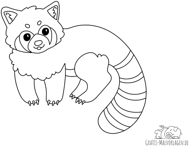 niedlicher-panda-himalaja-katzenbaer-malen