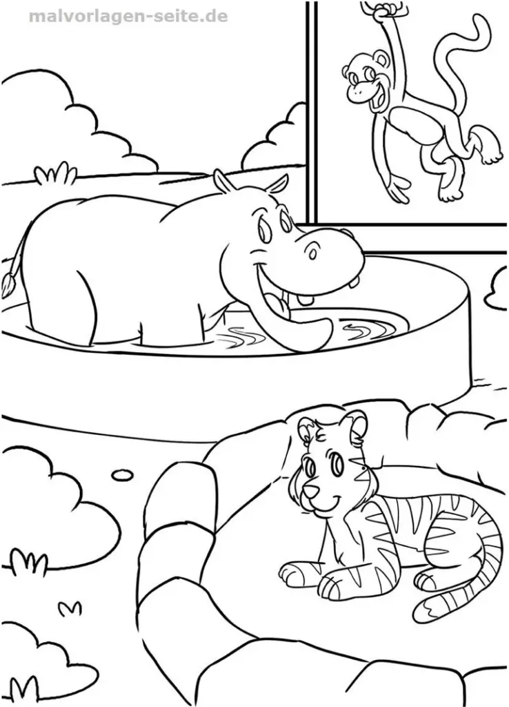 nilpferd-und-tiger-im-zoo-ausmalvorlage