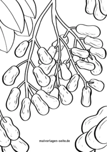 nuesse-ausmalvorlage-natur-pflanzen