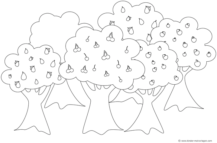 obstbaeume-malen-fuer-kinder