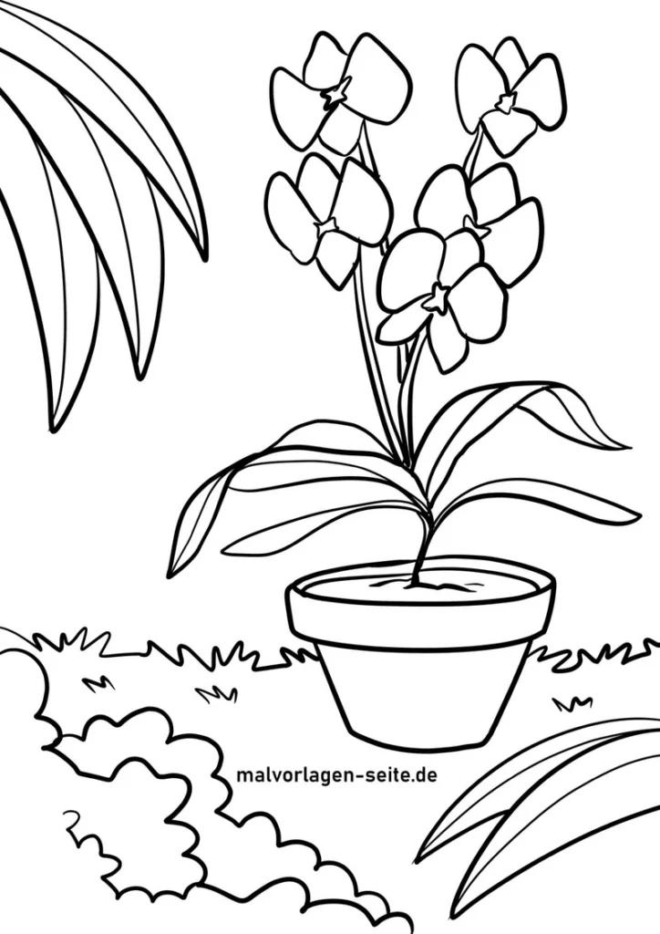 orchideen-im-topf-ausmalvorlage