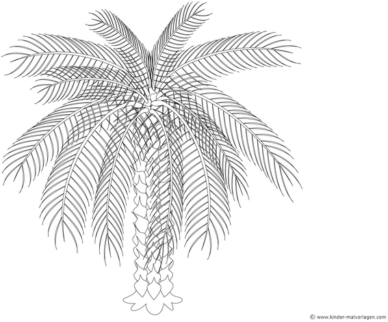 palme-ausmalvorlage-fuer-kinder