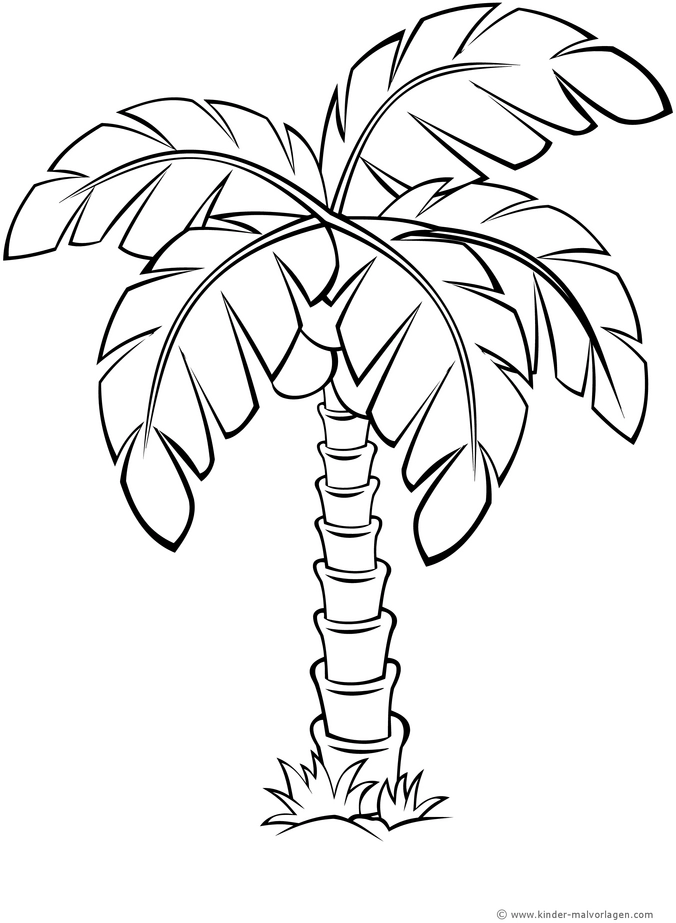 palme-motiv-ausmalvorlage-natur-umwelt