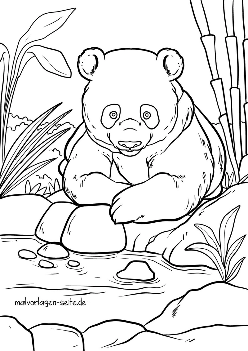 panda-am-wasser-mit-pflanzen-und-steinen