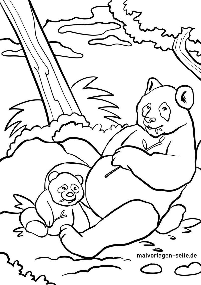 pandas-in-der-natur-malen