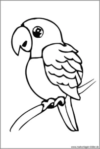 papagei-vogel-ausmalvorlage