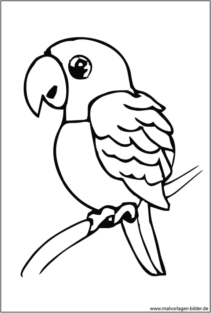 papagei-vogel-ausmalvorlage