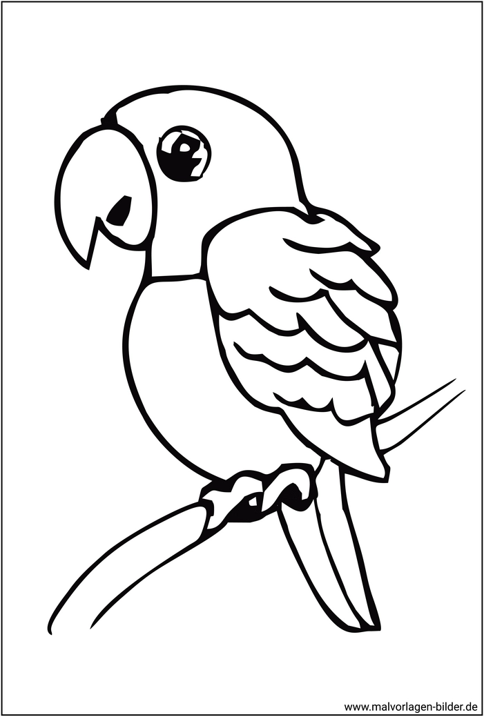 papagei-vogel-ausmalvorlage