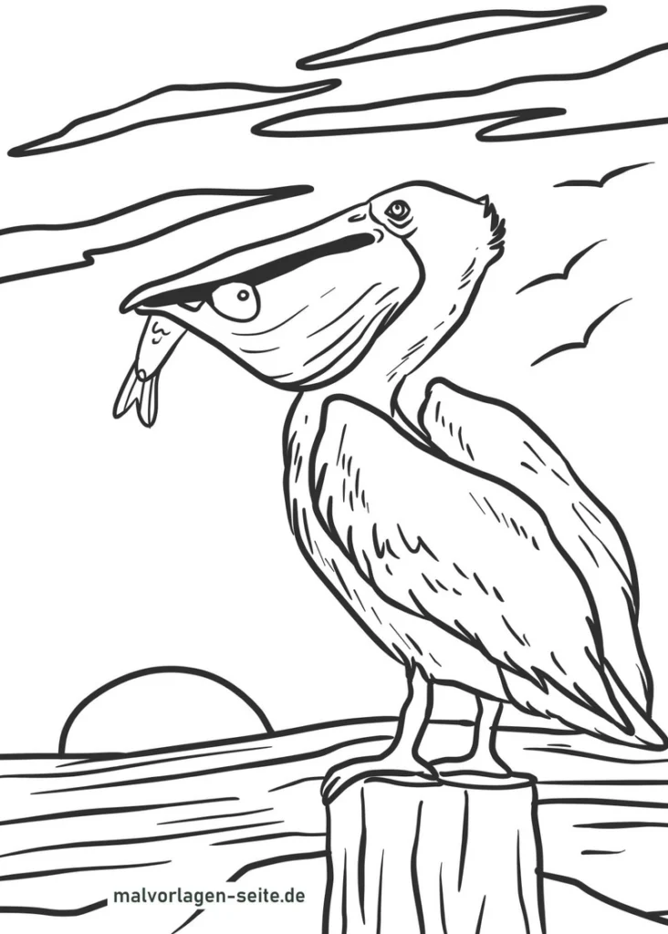pelikan-mit-fisch-ausmalvorlage