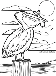 pelikan-mit-fisch-im-schnabel-und-sonne