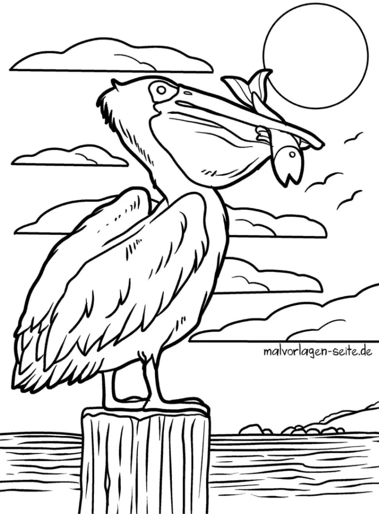 pelikan-mit-fisch-im-schnabel-und-sonne