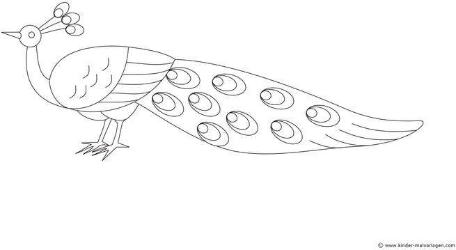 pfau-mit-federkleid-fuer-kreative-ausmaler