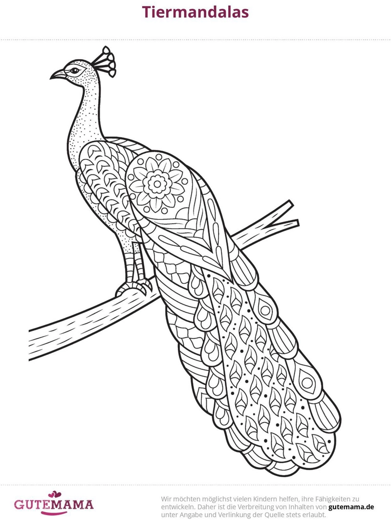 pfau-mit-mandala-mustern-zum-ausmalen