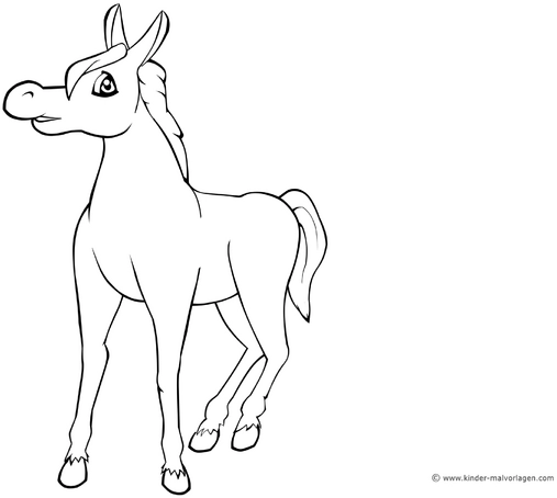 pferd-ausmalvorlage-kreativ-gestalten