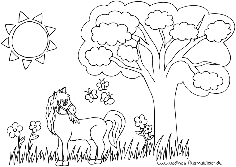 pferd-in-der-natur-mit-schmetterlingen