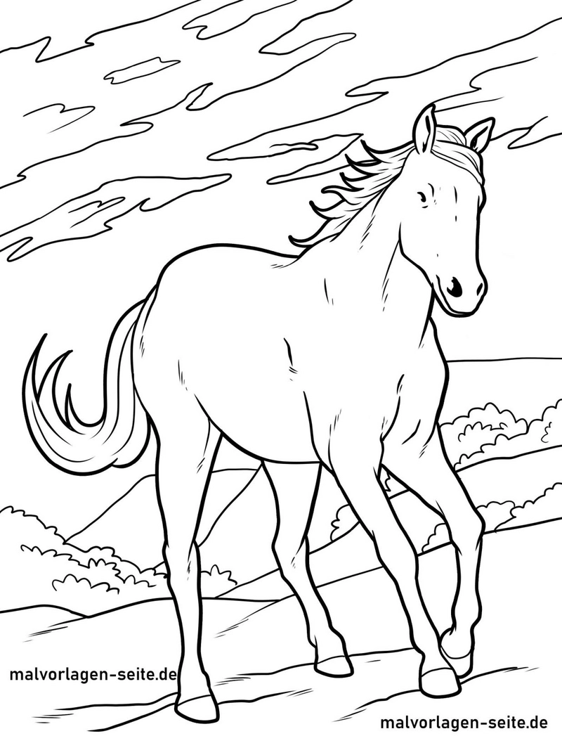 pferd-in-idyllischer-landschaft