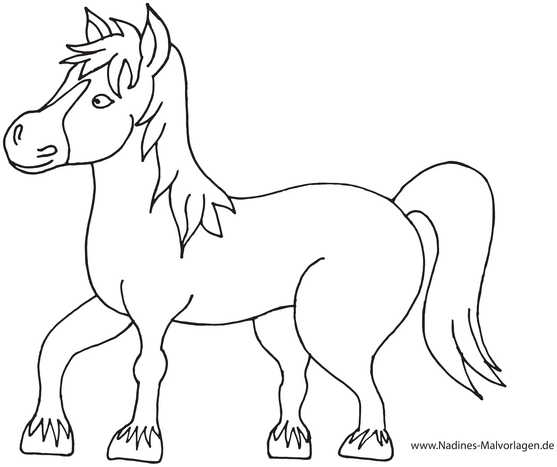 pferd-mit-maehne-ausmalvorlage