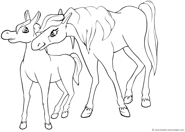pferd-und-fohlen-malen