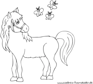 pferd-und-schmetterlinge-ausmalvorlage