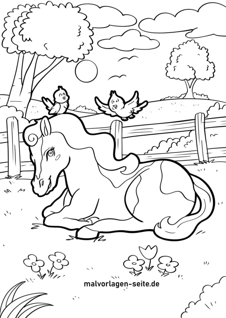 pferd-vögel-natur-ausmalvorlage