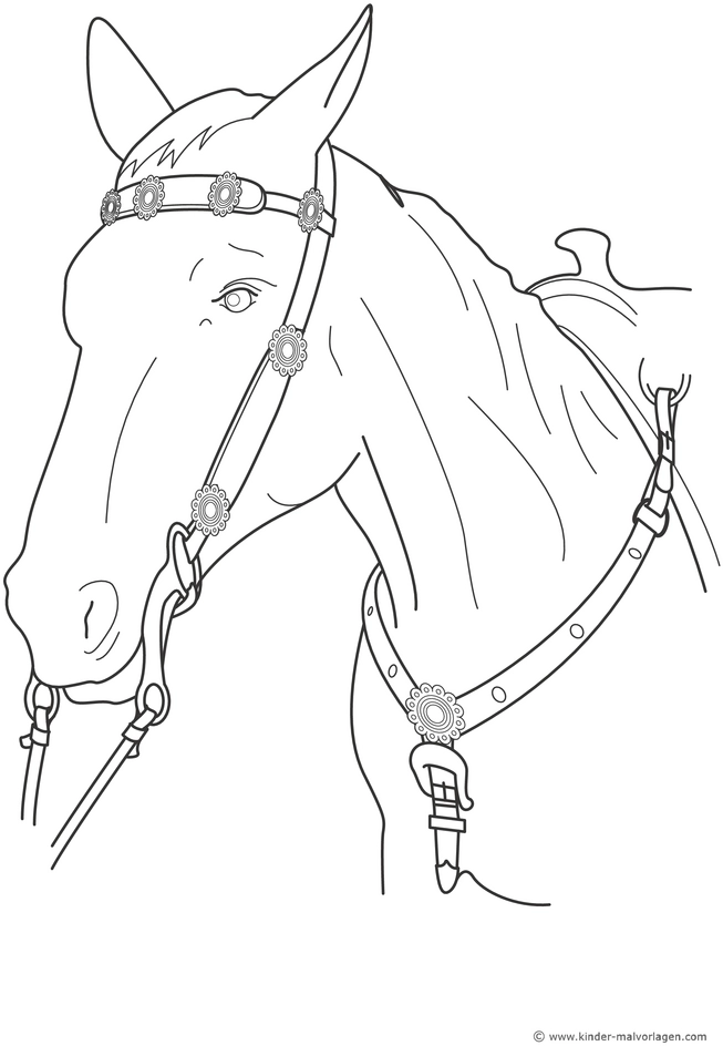 pferde-mit-zaumzeug-ausmalvorlage