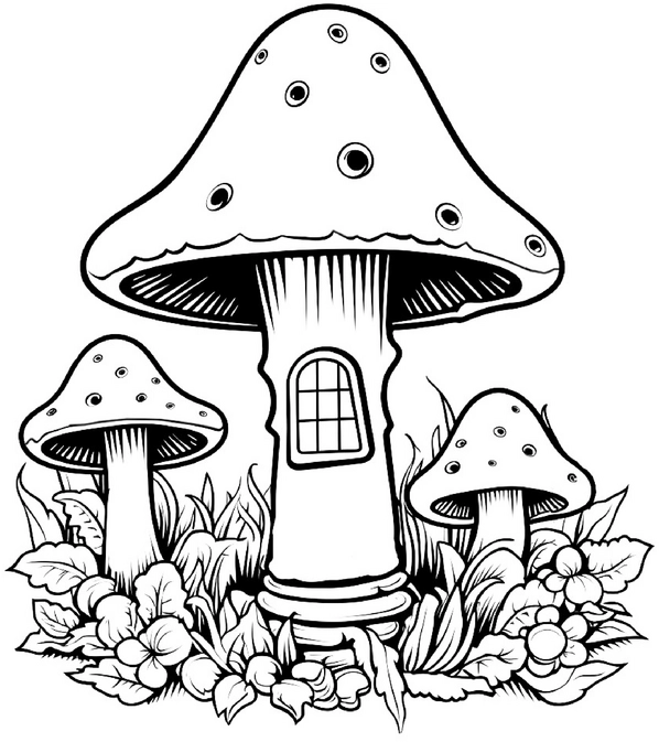 pilze-malen-ausmalvorlage-fuer-kinder