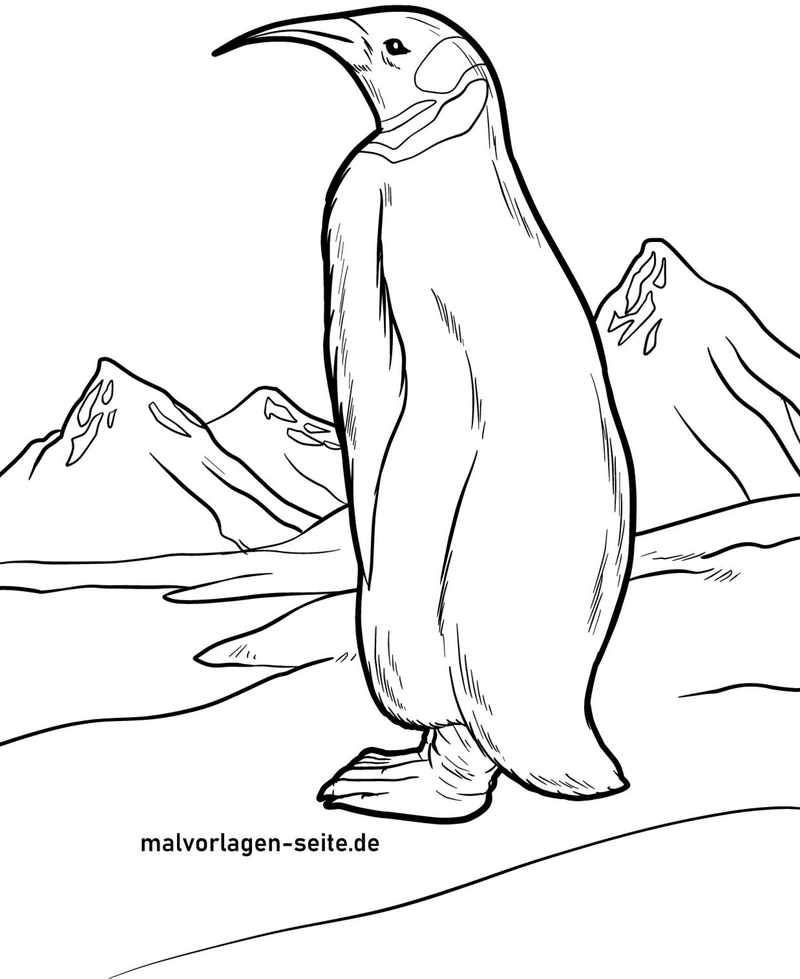 pinguin-in-berglandschaft-ausmalvorlage