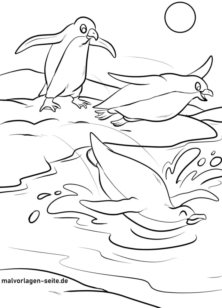 pinguine-am-wasser-ausmalvorlage