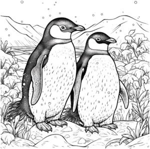 pinguine-in-der-natur-ausmalvorlage